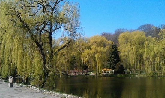 Wypożyczalnia rowerów w Gdańsku